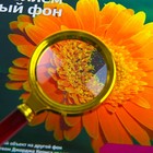 Лупа классическая в золотой оправе 6х, d=6 см - Фото 3