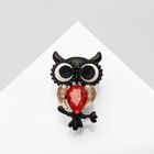 Брошь «Сова», цветная в чёрном металле - Фото 1