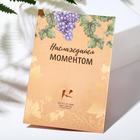 Брошь «Виноградная веточка» с жемчугом, цвет бело-зелёный в золоте - Фото 4