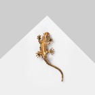 Брошь «Ящерица», цветная в золоте - Фото 4