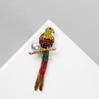 Брошь "Попугай" ара, цветная в золоте - фото 762688