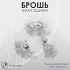 Брошь «Знаки зодиака» ассорти, гороскоп, белая в серебре (комплект 12 шт) - фото 60767039