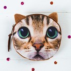 Мягкий кошелёк «Кисонька», зелёные глазки - Фото 1