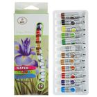 Краски акварельные, 12 цветов, в пластиковой тубе, 9 мл, в картонной коробке - Фото 3