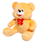Мягкая игрушка «Медведь», цвет МИКС, 30 см - Фото 20