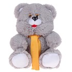 Мягкая игрушка «Медведь», цвет МИКС, 30 см - фото 3796669
