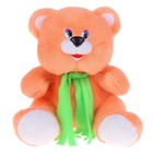 Мягкая игрушка «Медведь», цвет МИКС, 30 см - Фото 6