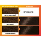 Краска для волос Garnier Color&Shine, без аммиака, тон 4.0, каштановый - Фото 5