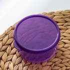 Контейнер круглый Доляна, пищевой, 300 мл, цвет фиолетовый - фото 4562759
