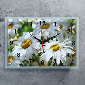 Часы-картина настенные, серия: Цветы, "Полевые ромашки", 25 х 35 см