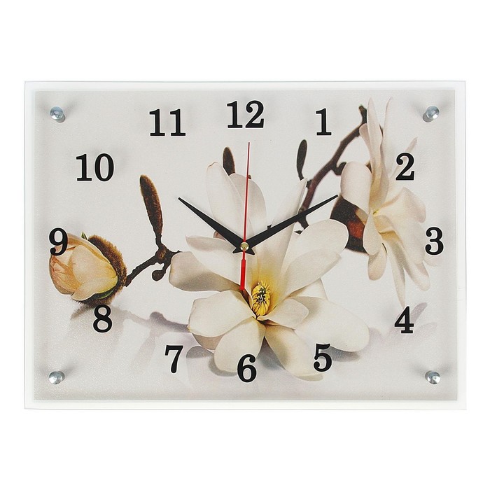 Часы настенные, серия: Цветы, "Орхидея", 30х40  см, микс - Фото 1