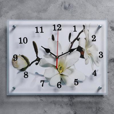Часы настенные, серия: Цветы, "Орхидея", 30х40  см, микс