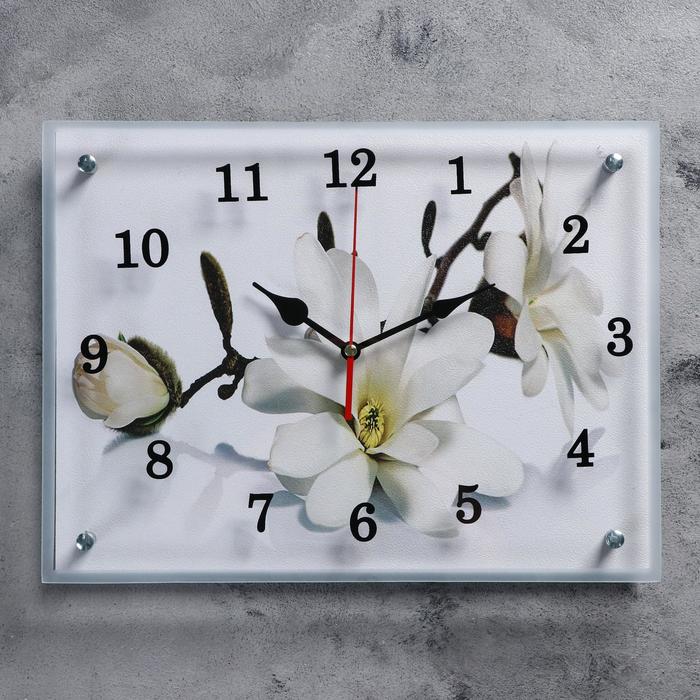 Часы настенные, серия: Цветы, &quot;Орхидея&quot;, 30х40  см, микс
