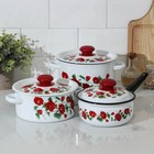 Набор посуды «Рамо», 3 предмета: кастрюли 2/3,5 л; ковш 1,5 л, эмалированные крышки, индукция - фото 4562869
