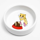 Миска для грызунов «Хомячок», 80 мл, 8.5×3 см, керамика - Фото 2