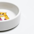 Миска для грызунов «Хомячок», 80 мл, 8.5×3 см, керамика - Фото 4