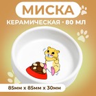 Миска для грызунов «Хомячок», 80 мл, 8.5×3 см, керамика - Фото 1