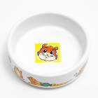 Миска для грызунов «Лакомство», 80 мл, 8.5×3 см, керамика, белая - Фото 2