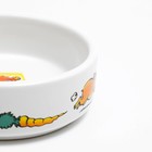 Миска для грызунов «Лакомство», 80 мл, 8.5×3 см, керамика, белая - Фото 4