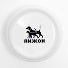 Миска для грызунов «Лакомство», 80 мл, 8.5×3 см, керамика, белая - Фото 5