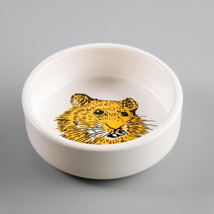 Миска для грызунов «Сытая мордочка», 80 мл, 8.5×3 см, керамика, белая