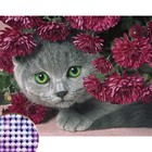 Алмазная мозаика с частичным заполнением «Котёнок», 40 х 30 см. Набор для творчества - Фото 8