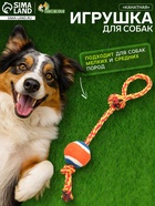 Игрушка тренировочная канатная, до 125 г, до 45 см, с мячом, цвет МИКС - Фото 1