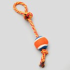 Игрушка тренировочная канатная с мячом, до 125 г, до 45 см, микс цветов - Фото 2