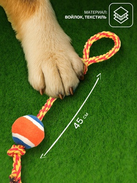 Игрушка тренировочная канатная, до 125 г, до 45 см, с мячом, цвет МИКС