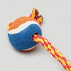 Игрушка тренировочная канатная с мячом, до 125 г, до 45 см, микс цветов - Фото 4