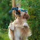 Игрушка тренировочная канатная, до 125 г, до 45 см, с мячом, цвет МИКС  (артикул 1513506)  большой выбор товаров оптом и в розницу по низким ценам с доставкой