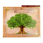 Родословная книга с рамкой под фото «Семейная летопись», 50 листов, 21.5×23.7 см - Фото 11