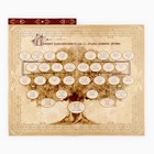 Родословная книга с рамкой под фото «Семейная летопись», 50 листов, 21.5×23.7 см - Фото 12