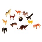 Набор фигурок животных «Удивительный мир», 12 предметов - фото 8295140