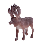 Набор фигурок животных «Удивительный мир», 12 предметов - Фото 2