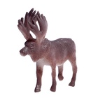 Набор фигурок животных «Удивительный мир», 12 предметов - Фото 5