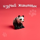 Набор фигурок животных «Удивительный мир», 12 предметов - Фото 6