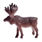 Набор фигурок животных «Удивительный мир», 12 предметов - Фото 6