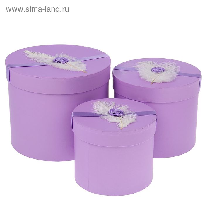 Набор коробок 3 в 1 "Перо", фиолетовый, 23 х 23 х 19,5 - 16,5 х 16,5 х 14 см - Фото 1