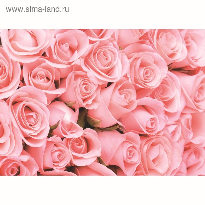 Фотообои К-116 «Романтика» (8 листов), 280 × 200 см - Фото 1