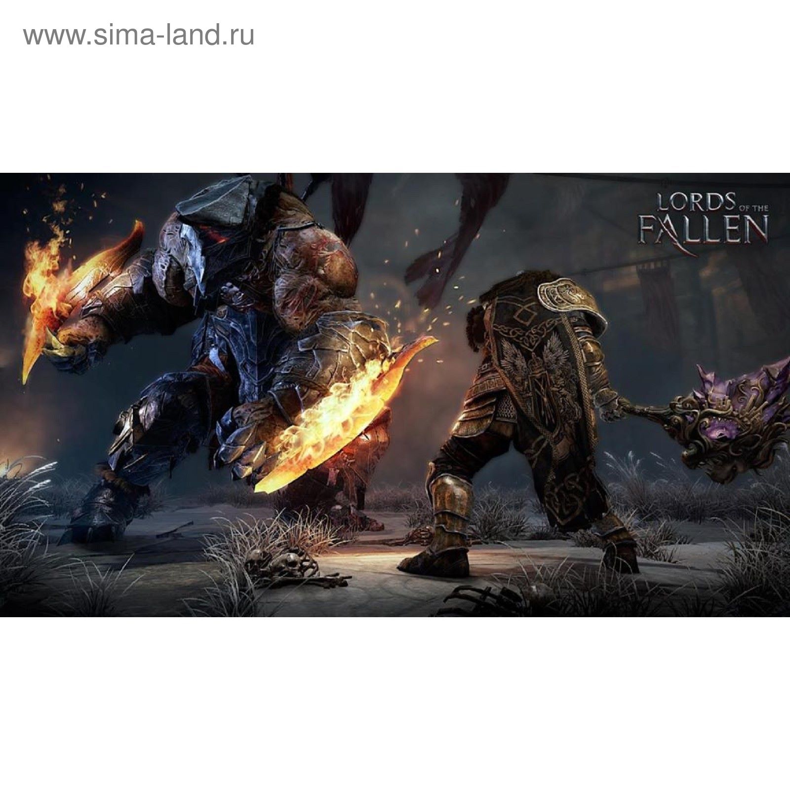 Игра для Sony PlayStation 4 Lords of the Fallen