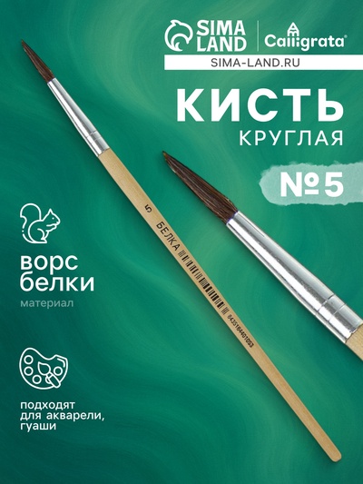 Кисть для рисования, белка, № 5, круглая, деревянная ручка, международный размер