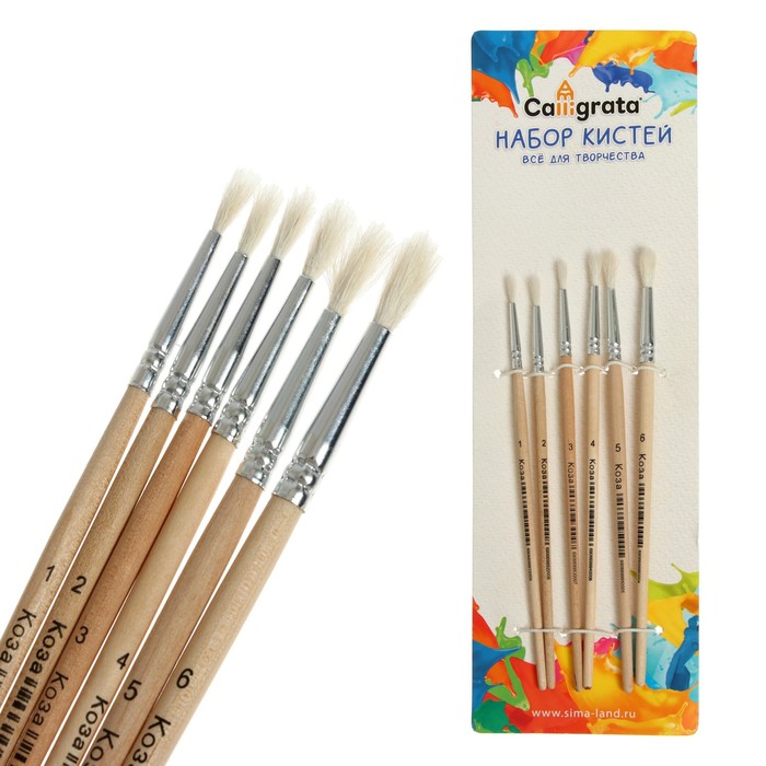 Набор кистей для рисования, коза, 6 штук, № 1, 2, 3, 4, 5, 6, круглые, деревянная ручка, международный размер - Фото 1
