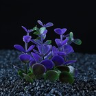 Растение искусственное аквариумное кустовое, 10 см, фиолетовое - Фото 1