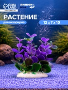Растение искусственное аквариумное кустовое, 10 см, фиолетовое - Фото 1