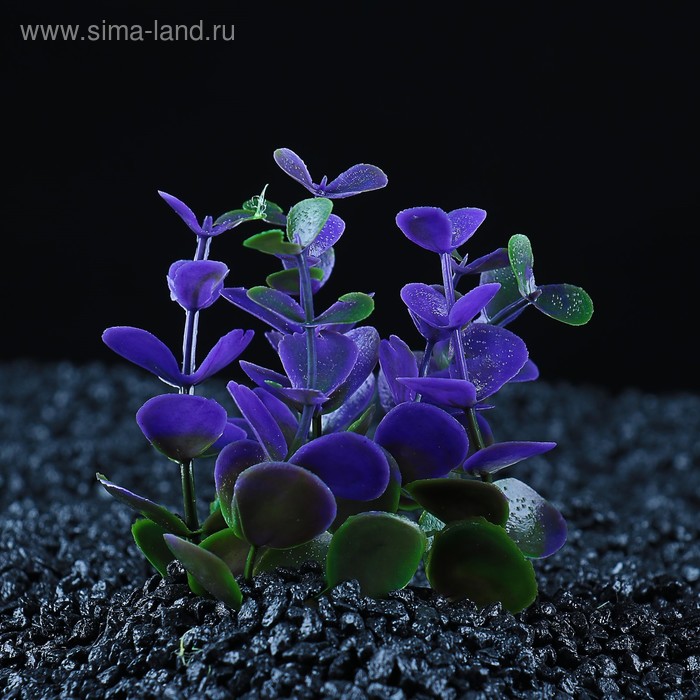 Растение искусственное аквариумное кустовое, 10 см, фиолетовое - Фото 1