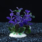 Растение искусственное аквариумное кустовое, 10 см, фиолетовое - Фото 2