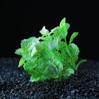 Растение искусственное аквариумное кустовое, 10 см, зеленый - фото 5963778