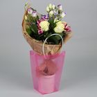 Переноска для цветов 16 х 16 х 8 см, розовый - Фото 1