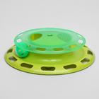 Игровой комплекс для кошек, с отсеками для корма и шариком, цвет МИКС - Фото 2